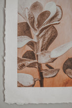 Load image into Gallery viewer, Desert Flower