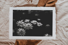 Load image into Gallery viewer, In Bloom