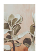 Load image into Gallery viewer, Desert Flower