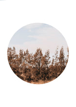 Load image into Gallery viewer, Woodland